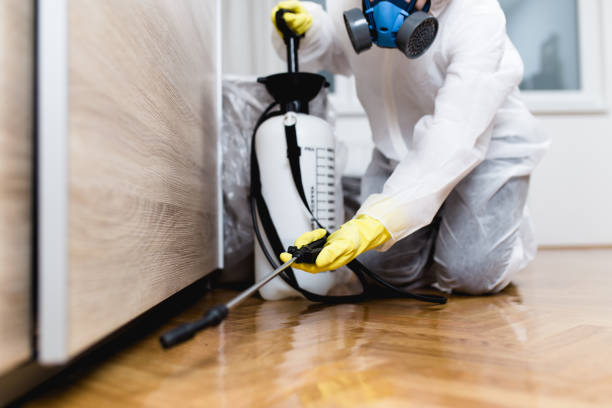 Trusted Hawaiian Gardens, CA Pest Control Experts