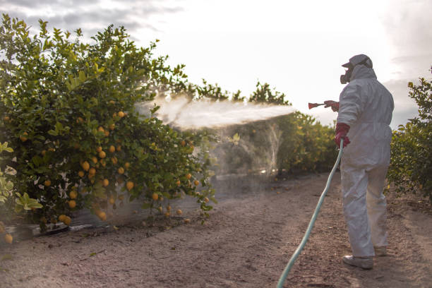 Best Pest Inspection Near Me  in Hawaiian Gardens, CA