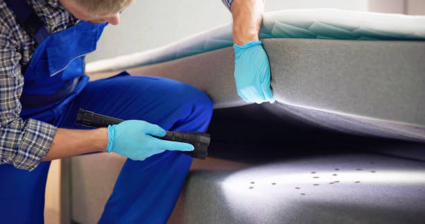 Best Affordable Pest Control Services  in Hawaiian Gardens, CA