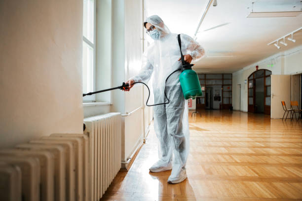 Best Pest Removal Services  in Hawaiian Gardens, CA