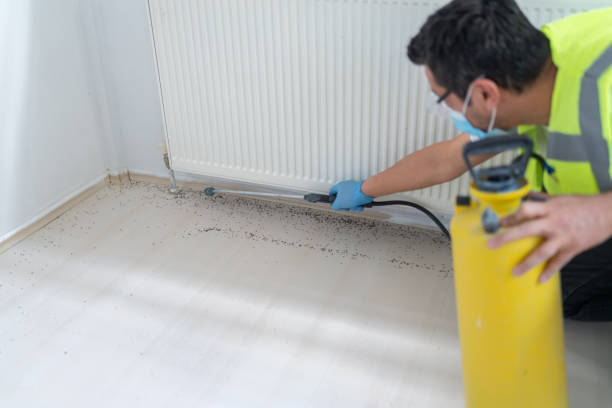 Best Pest Control Near Me  in Hawaiian Gardens, CA