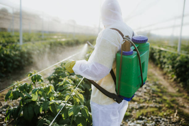Best Pest Inspection Near Me  in Hawaiian Gardens, CA